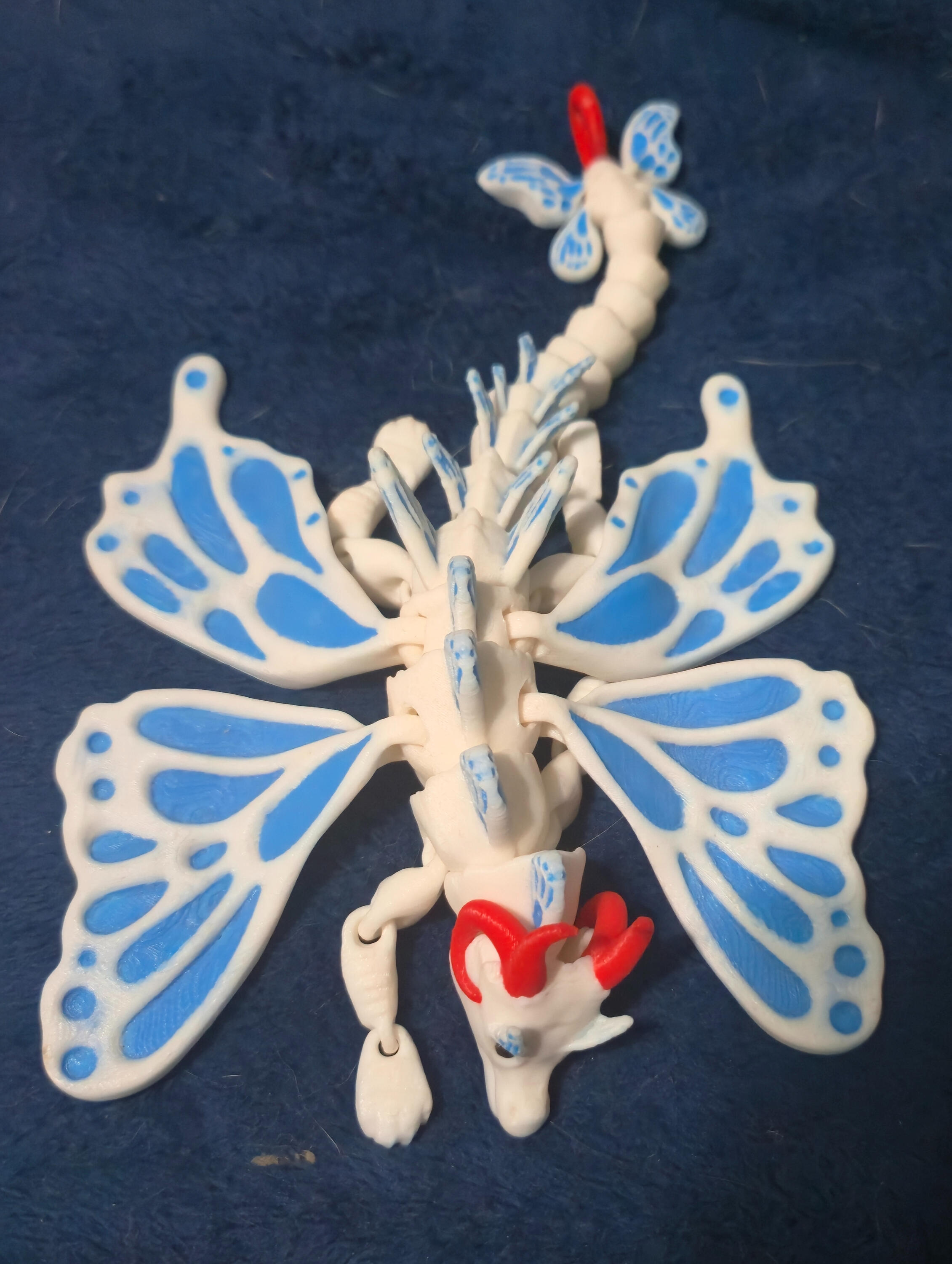 Multi-color Butterfly dragon